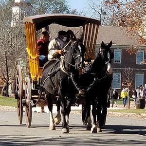 Meet your Posher, Lori
